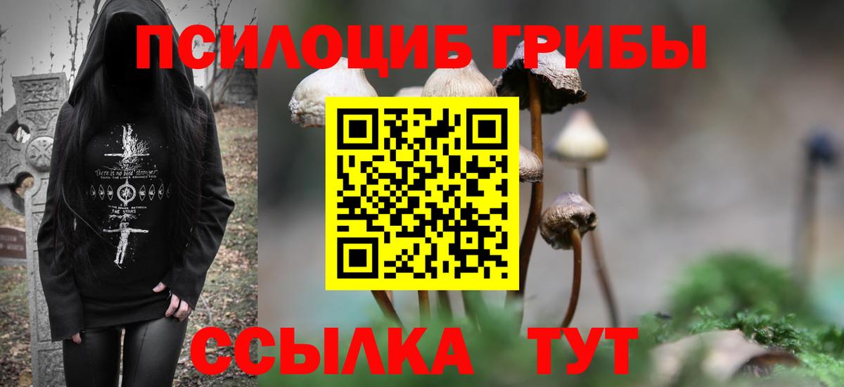 Владимир  Псилоцибиновые грибы мицелий  Галлюциногенные грибы Psilocybe  Вход с VPN 